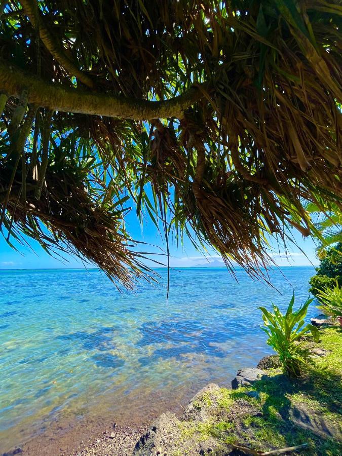 O'Coco Bungalow- Breathtaking Waterfront Views, Endless Memories Paea エクステリア 写真