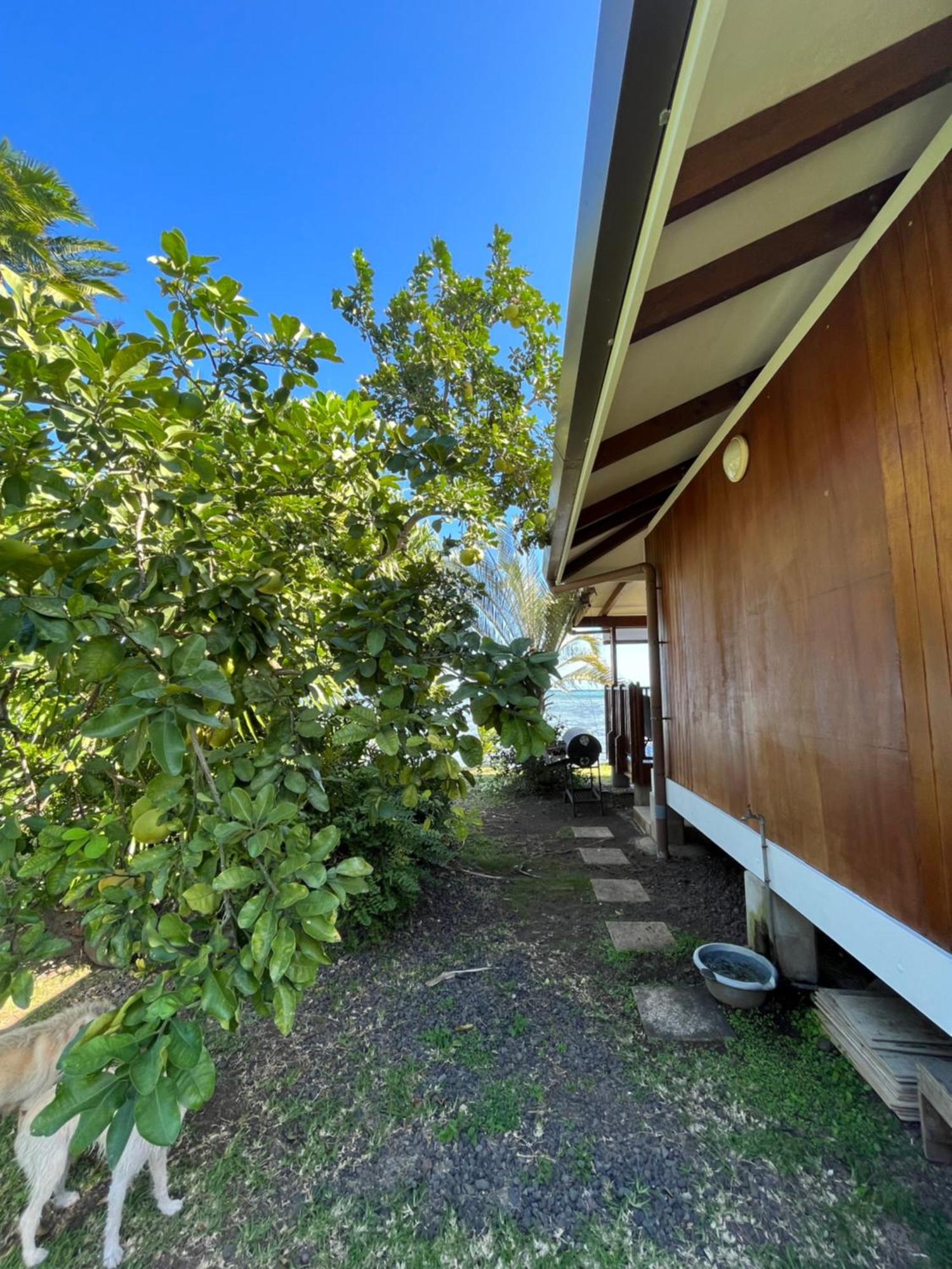O'Coco Bungalow- Breathtaking Waterfront Views, Endless Memories Paea エクステリア 写真