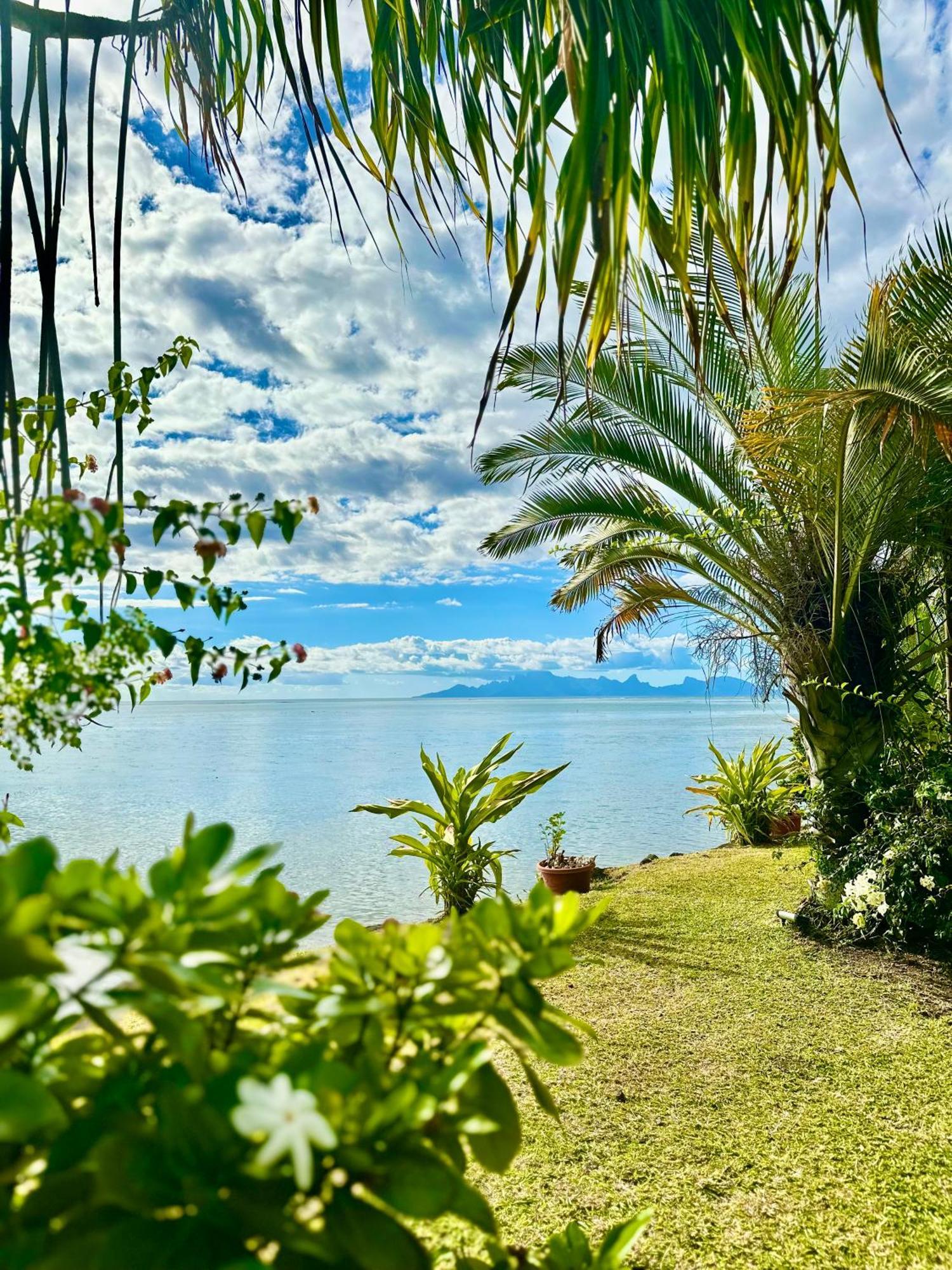 O'Coco Bungalow- Breathtaking Waterfront Views, Endless Memories Paea エクステリア 写真